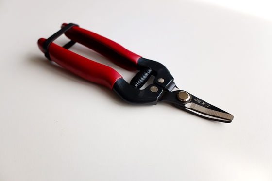 kopen SINSEUNG SK5 X7 Hardware schaar gebogen en roestbestendige messen online vervaardiging