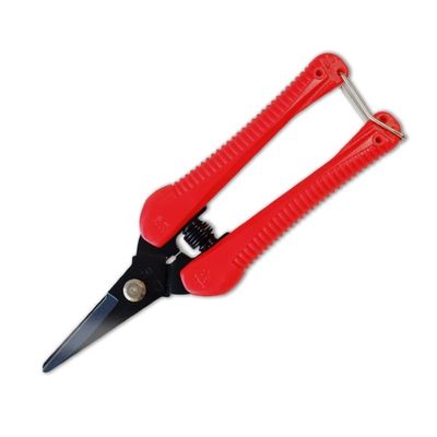 kopen SINSEUNG P4 Plastic Handle SK5 Hoogkoolstaal schaar snoeien online vervaardiging