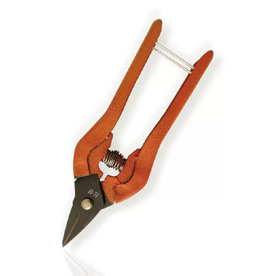 25cm roestvrij staal lemmet Plastic handgrepen Scheren