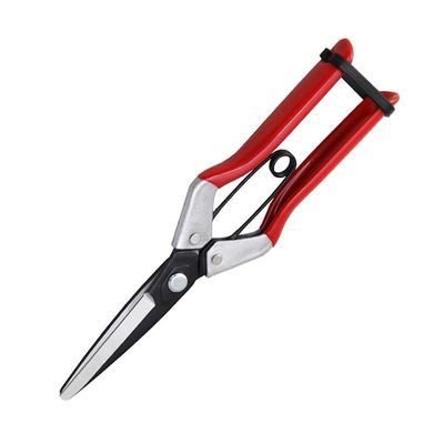 SINSEUNG X1 Hardware schaar uien schaar veer en ambidextrus structuur