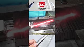 260109 1 SINSEUNG-VIDEO