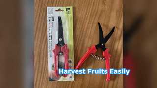Fruitoogstschaar SK5 Staal