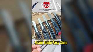 260114-1 SINSEUNG-VIDEO